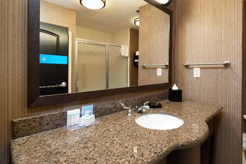 اتاق استاندارد با تخت بزرگ, Hampton Inn & Suites Longview North