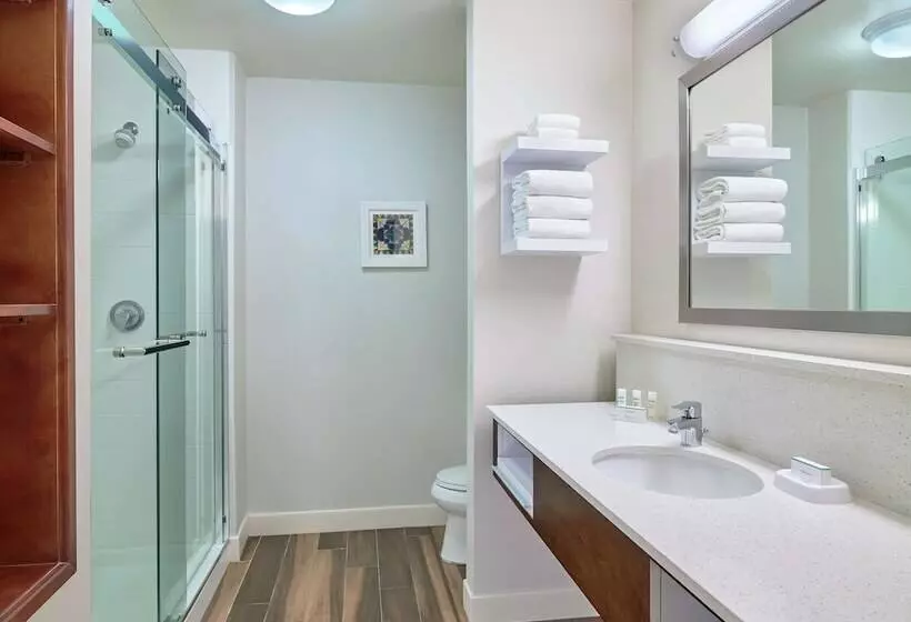 キングサイズベッドのスタンダードルーム, Hampton Inn & Suites Schertz