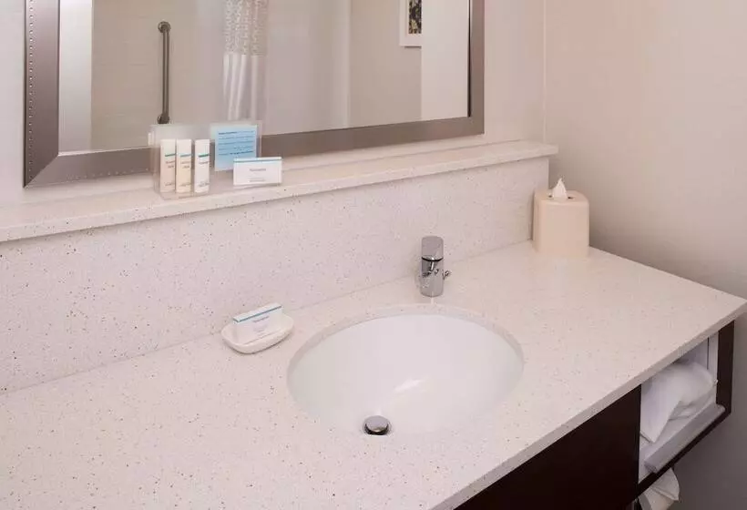 キングサイズベッドのスタンダードルーム, Hampton Inn & Suites Schertz
