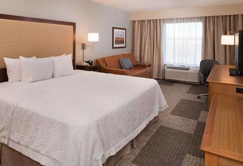 キングサイズベッドのスタンダードルーム, Hampton Inn & Suites Schertz