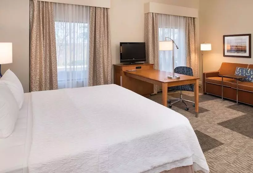 スタンダードルーム, Hampton Inn & Suites Schertz
