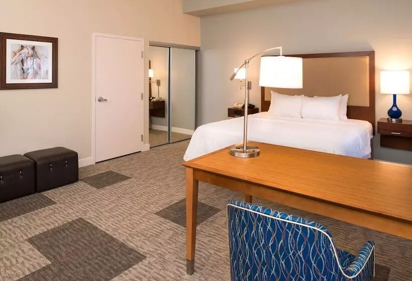 スタンダードルーム, Hampton Inn & Suites Schertz