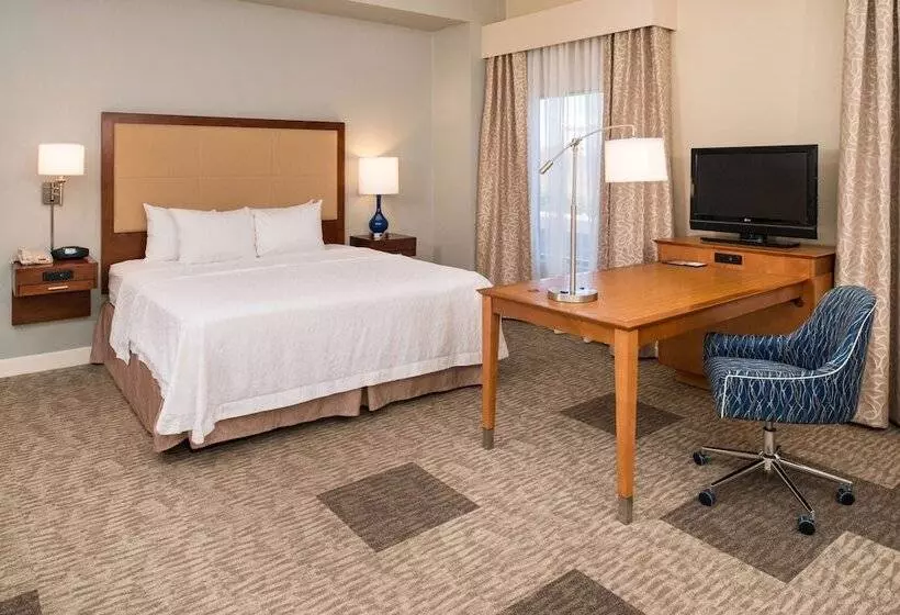 スタンダードルーム, Hampton Inn & Suites Schertz
