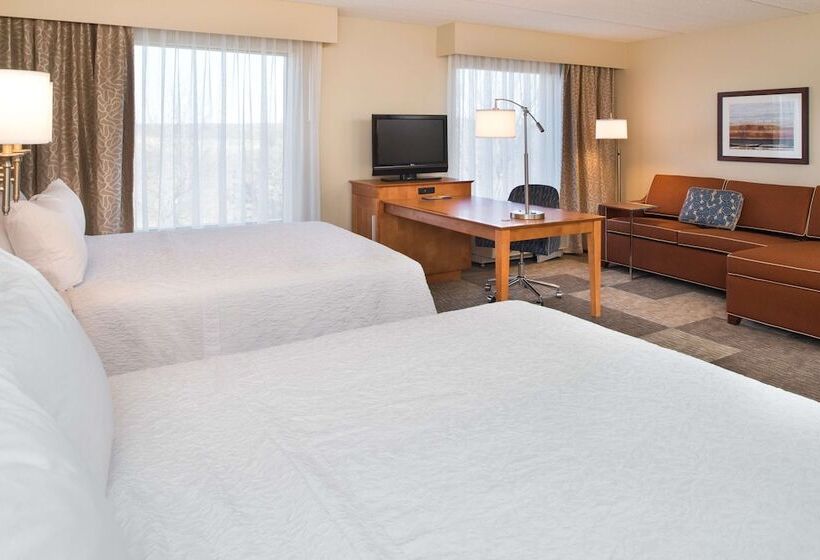 Номер Стандарт, Hampton Inn & Suites Schertz