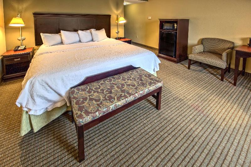 스탠다드 룸 킹사이즈 침대, Hampton Inn Rochesterirondequoit