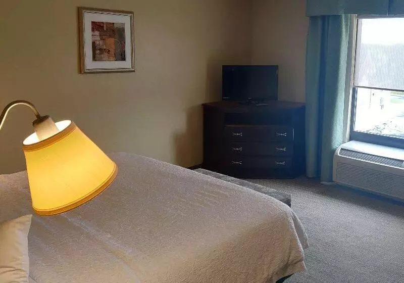 キングサイズベッドのスタンダードルーム, Hampton Inn Rochesterirondequoit
