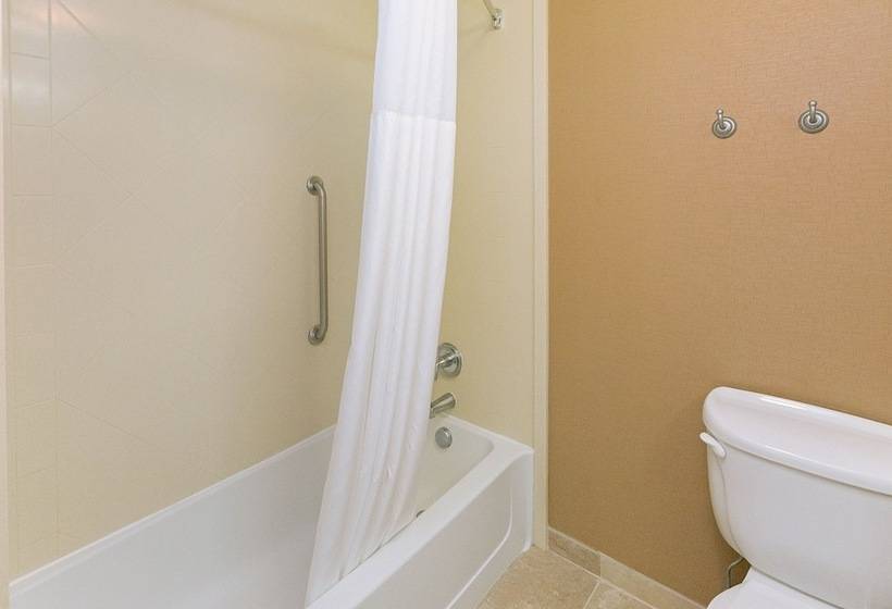 غرفة قياسية, Hampton Inn & Suites Blairsville