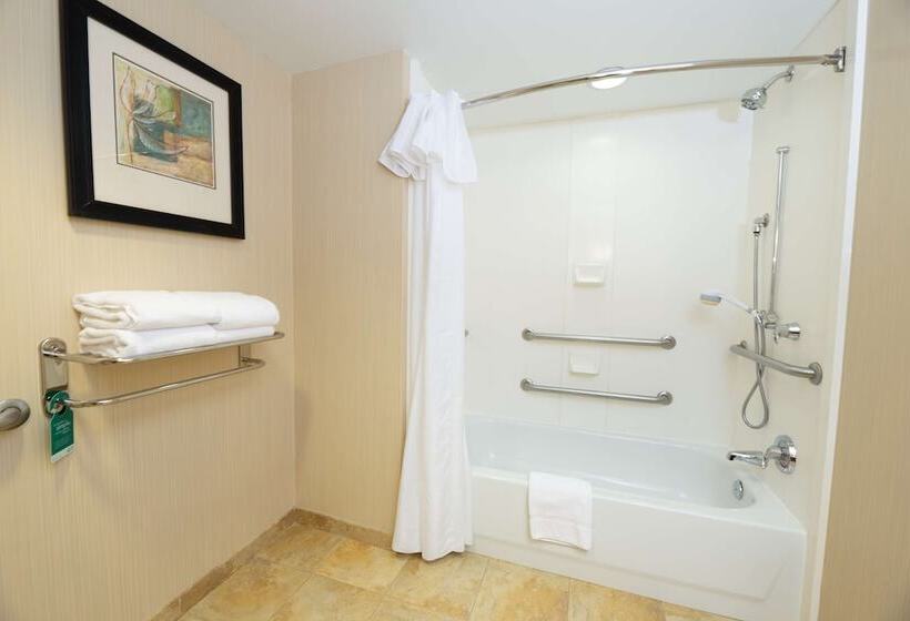 جناح لذوى الاحتياجات الخاصة, Homewood Suites By Hilton Lawrenceville Duluth