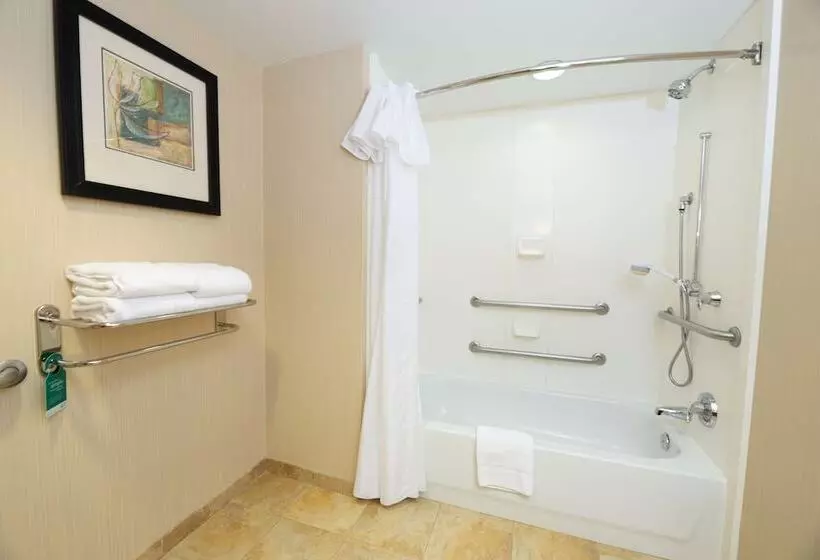 身障者適用スイートルーム, Homewood Suites By Hilton Lawrenceville Duluth