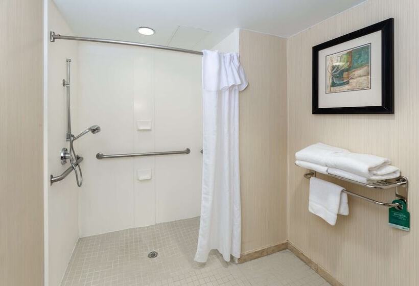 جناح لذوى الاحتياجات الخاصة, Homewood Suites By Hilton Lawrenceville Duluth