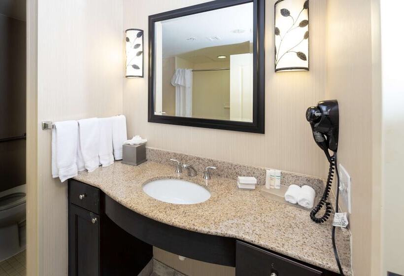 Люкс Адаптированный для Инвалидов, Homewood Suites By Hilton Lawrenceville Duluth