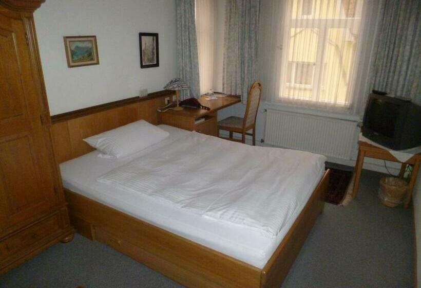 スタンダードシングルルーム, Leisewitz' Garten