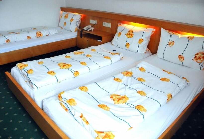 Номер Стандарт Трехместный, Niedersfeld winterberg