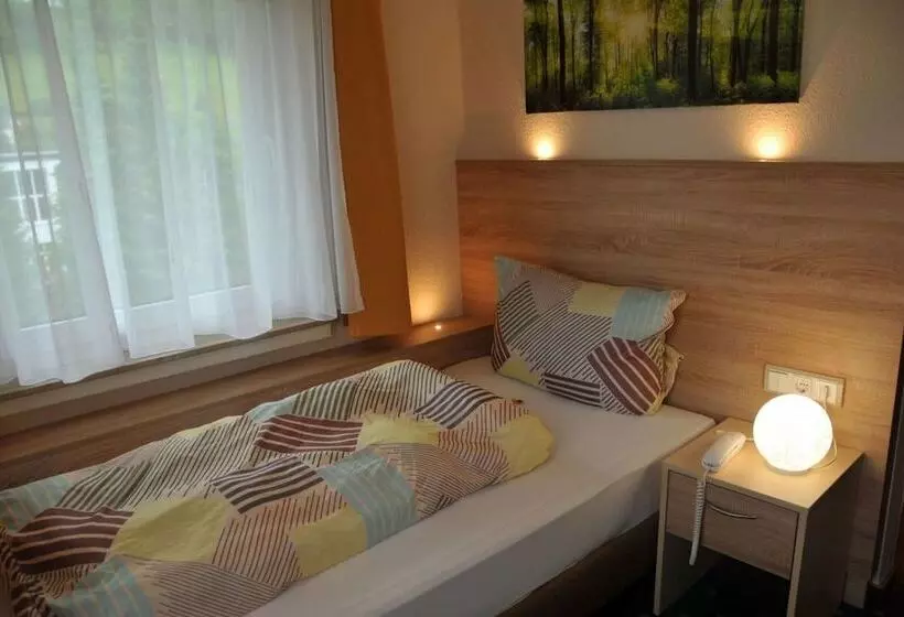 اتاق استاندارد یک نفره, Niedersfeld winterberg