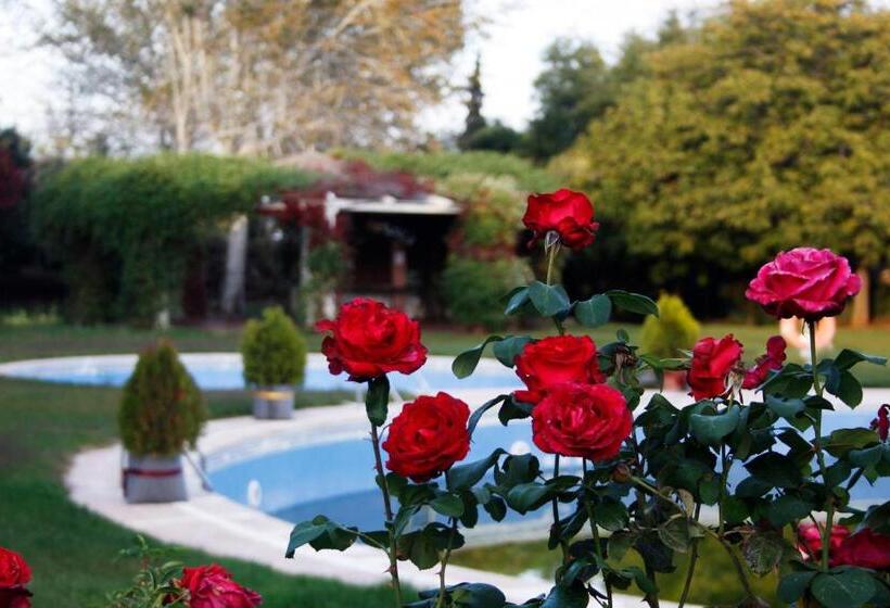 غرفة قياسية, Hostal El 402