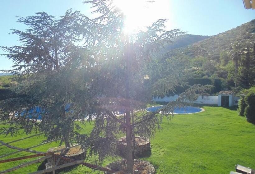 Четырехместный Номер Стандарт, Hostal El 402