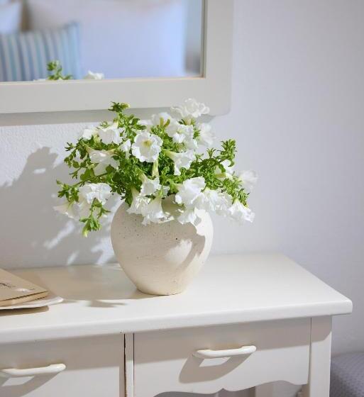 חדר סטודיו סטנדרד, Leda Village Resort