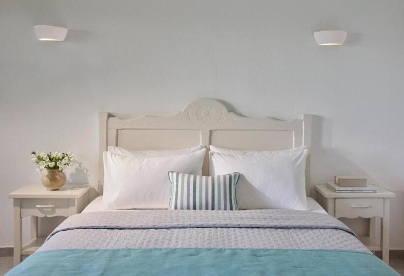 סטודיו סופריור, Leda Village Resort