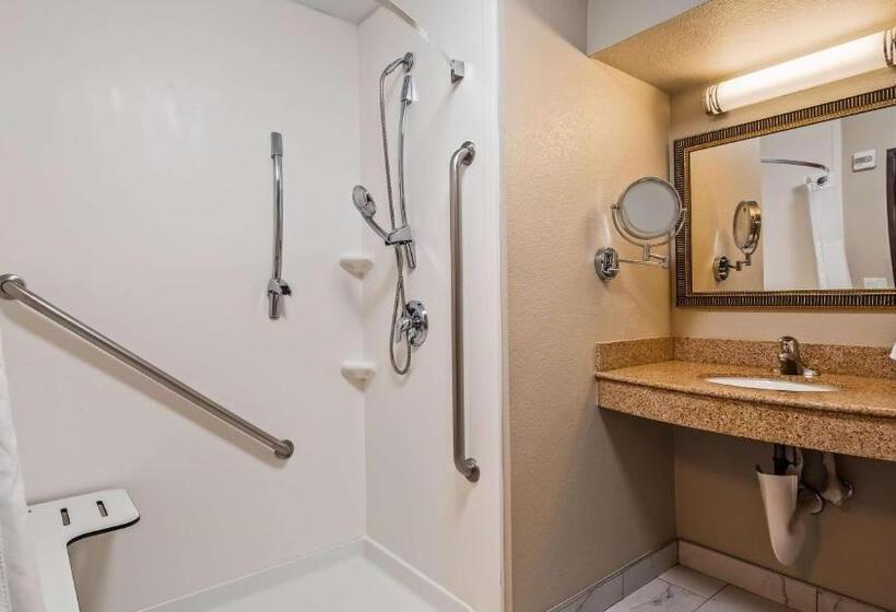 חדר סטנדרט עם מיטת קינג, Best Western Plus Henderson