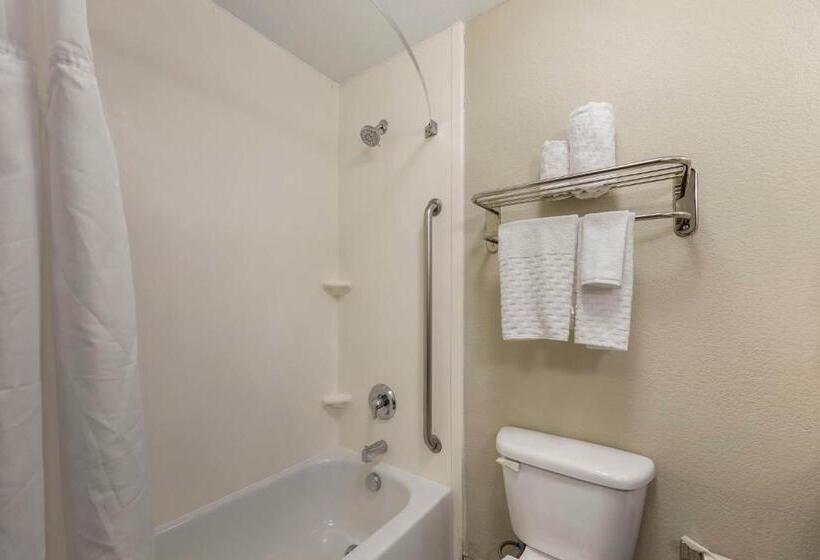 اتاق استاندارد با تخت بزرگ برای معلولان, Best Western Plus Henderson