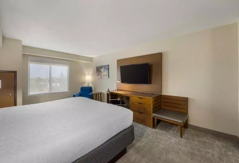 身障者適用キングサイズベッドルーム, Best Western Plus Henderson
