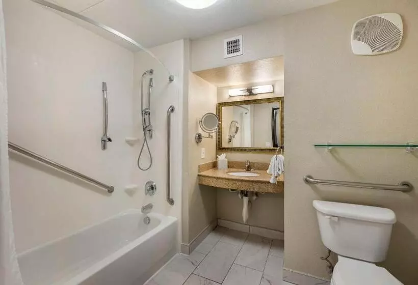 身障者適用スイートルーム, Best Western Plus Henderson