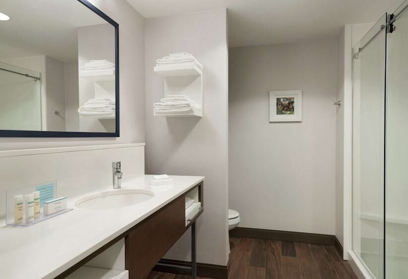 スタンダードルーム, Hampton Inn & Suites Ephrata Mountain Springs