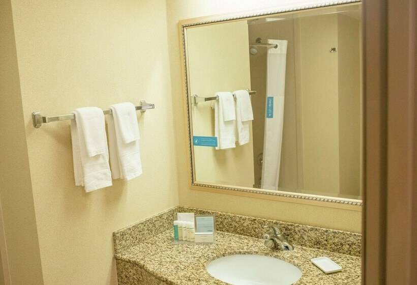 جناح, Hampton Inn & Suites Lathrop