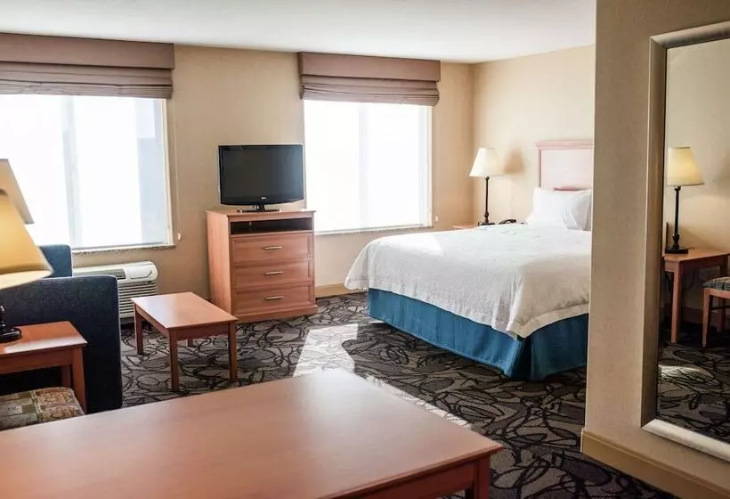 スイート, Hampton Inn & Suites Lathrop