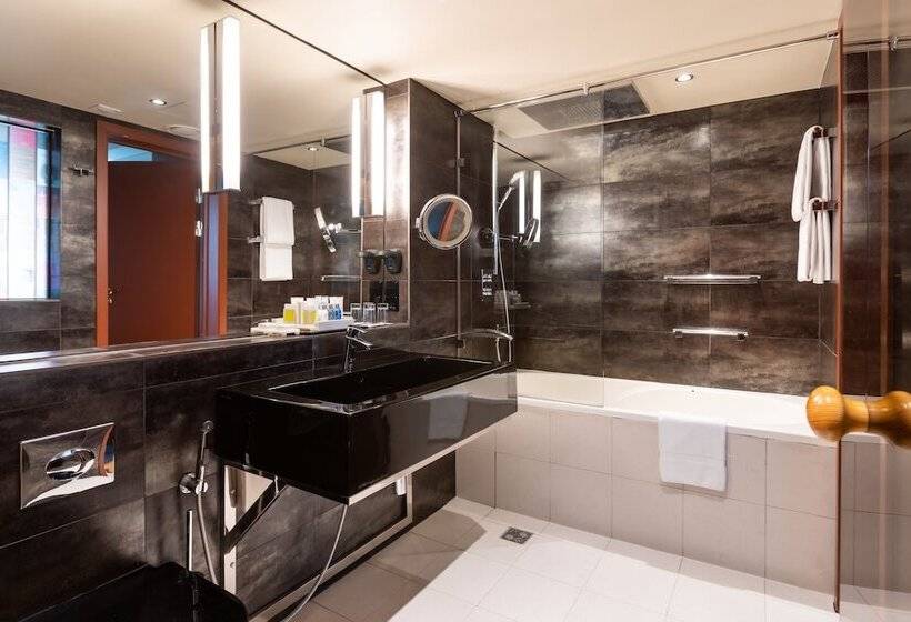 جناح, Radisson Sonya Hotel, St. Petersburg