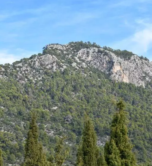 سوییت سوپریور, Finca Can Beneit
