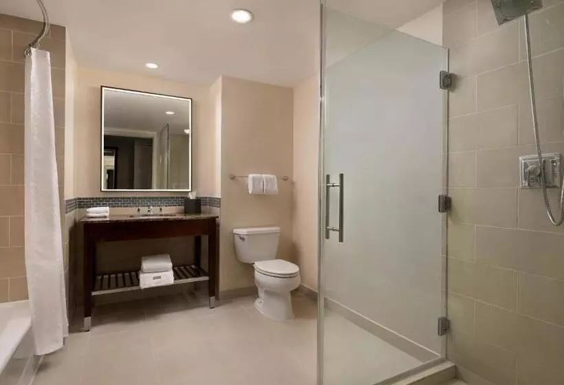 キングサイズベッドのエクゼクティブ, The Westin Reston Heights