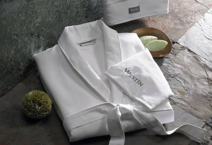 Standard Szoba 2 Franciaággyal, The Westin Reston Heights