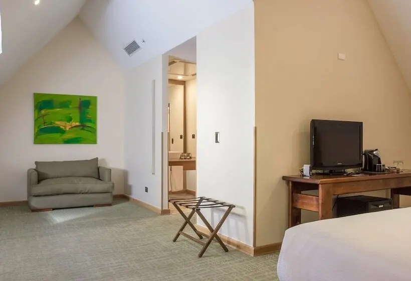 اتاق استاندارد, Wyndham Puerto Varas Pettra