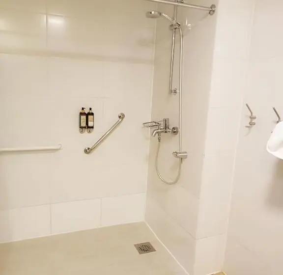 اتاق استاندارد با تخت بزرگ برای معلولان, Wyndham Puerto Varas Pettra