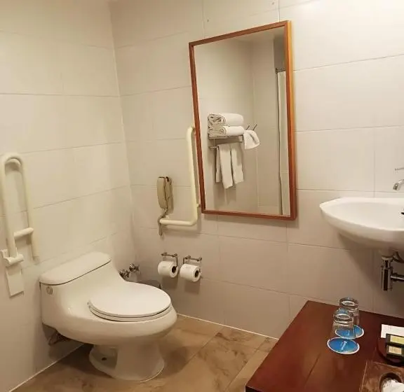 اتاق استاندارد با تخت بزرگ برای معلولان, Wyndham Puerto Varas Pettra