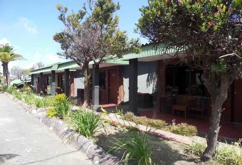 스탠다드 트리플 룸, Bromo Permai 1