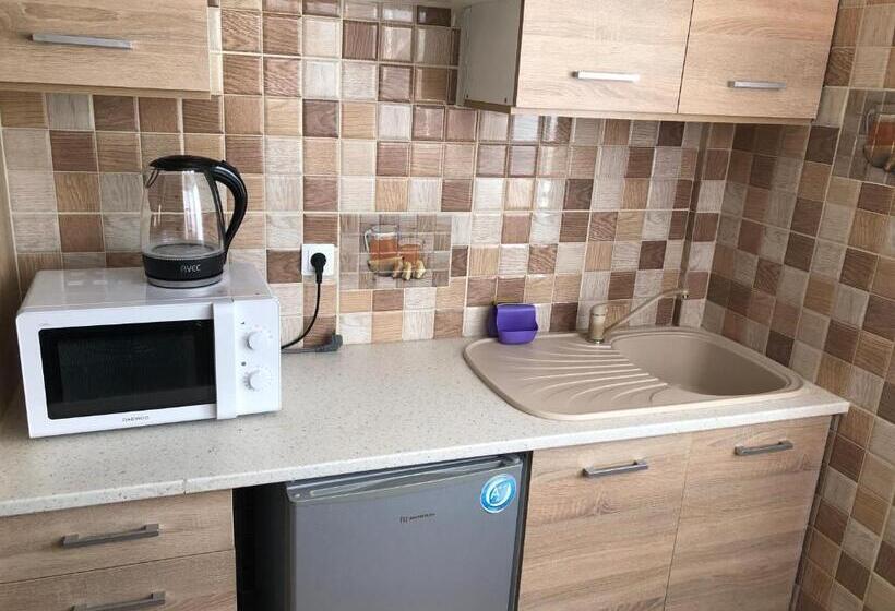 آپارتمان 1 خوابه با چشم‌انداز دریا, Nikolakakis Rooms Lavrio