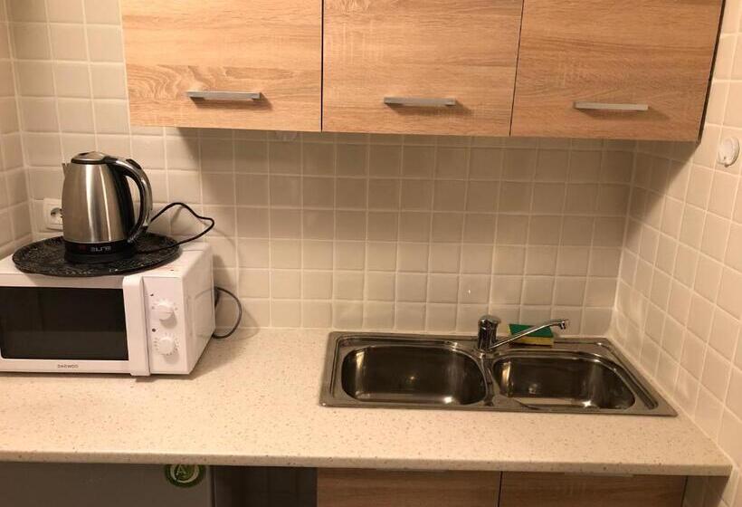 شقة غرفة واحدة, Nikolakakis Rooms Lavrio