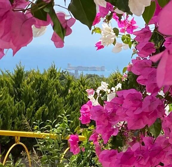 غرفة سوبيريور عائلية, Watercastle Suits