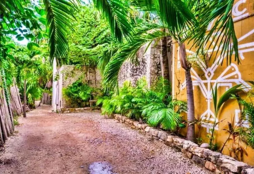 景色の見えるスーペリアルーム, Be Tulum