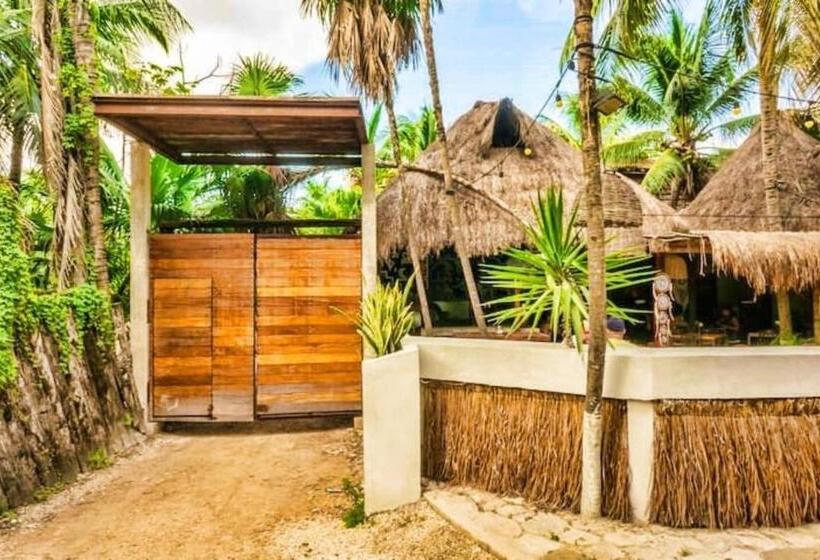 اتاق سوپریور با چشمانداز, Be Tulum