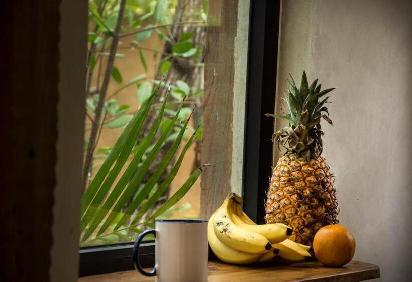 اتاق سوپریور با چشمانداز, Be Tulum