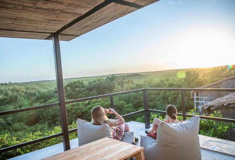 اتاق استاندارد با تخت بزرگ, Be Tulum