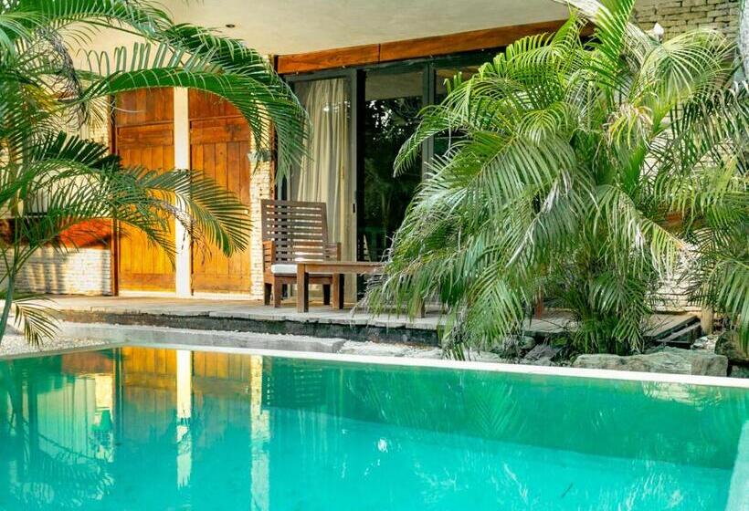 استودیو استاندارد با چشمانداز, Be Tulum