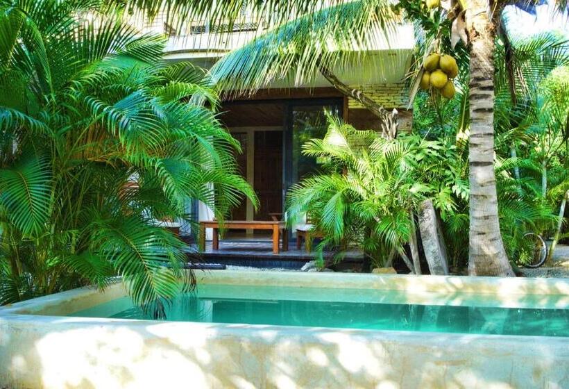 استودیو استاندارد با چشمانداز, Be Tulum