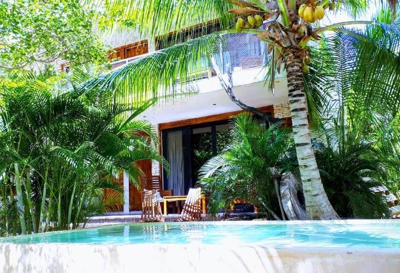 استودیو استاندارد با چشمانداز, Be Tulum