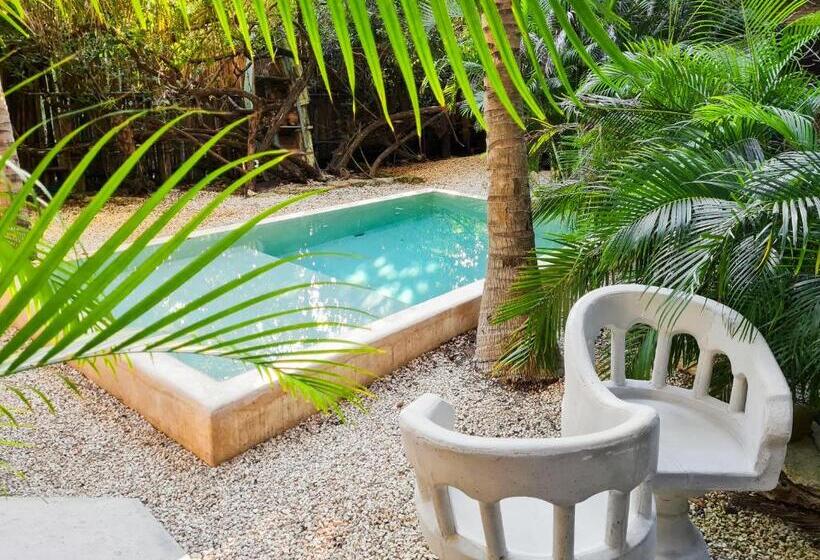 اتاق استاندارد با چشمانداز, Be Tulum