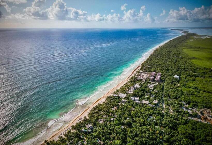 خانه 1 خوابه, Be Tulum