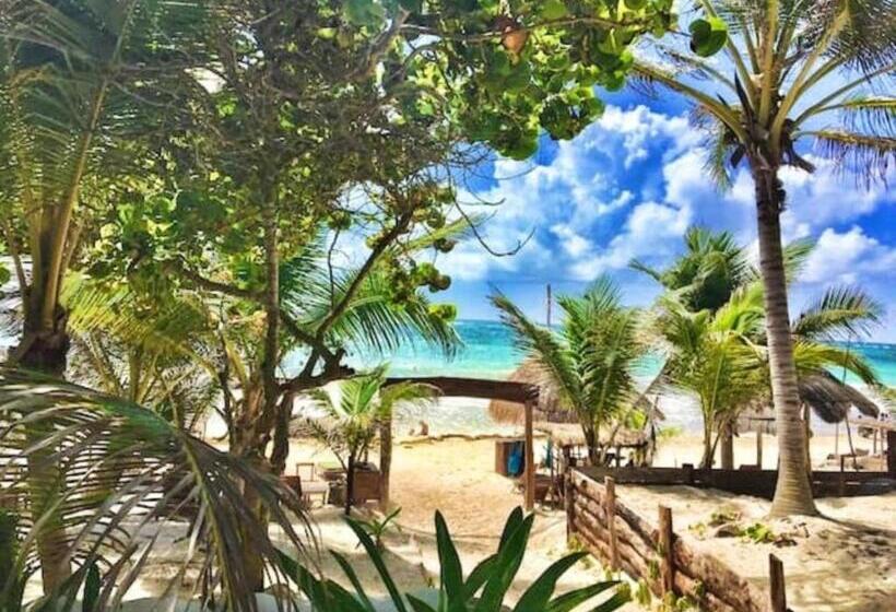 خانه 4 خوابه, Be Tulum